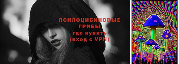 стафф Алзамай
