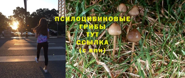 стафф Алзамай