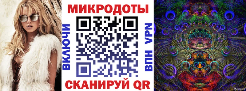 хочу   Чадан  Галлюциногенные грибы Psilocybine cubensis 