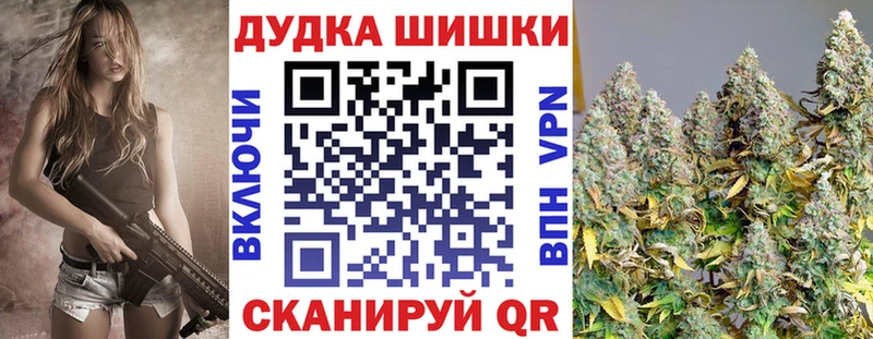 Бошки марихуана SATIVA & INDICA  ссылка на мегу зеркало  Чадан  купить наркотики сайты 
